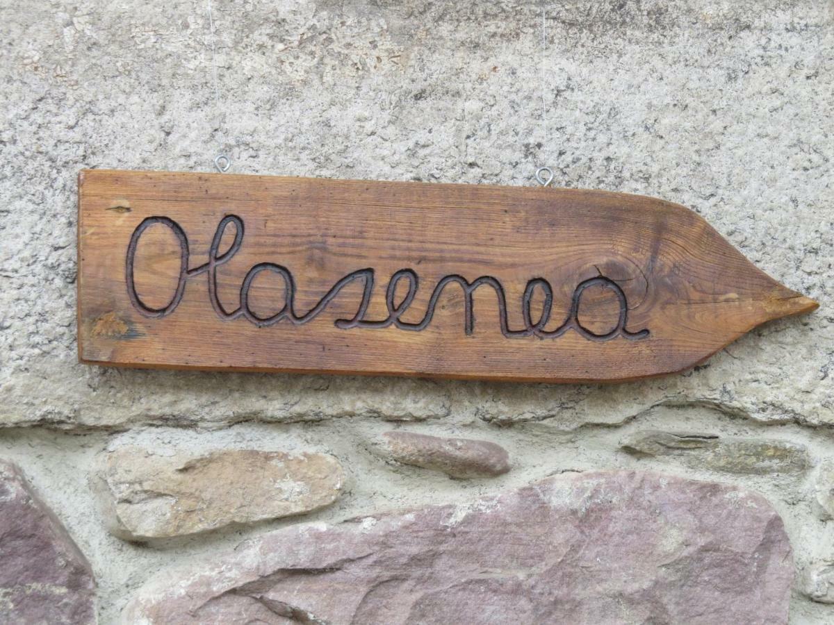 Albergue Olasenea Aterpea Zubieta Kültér fotó