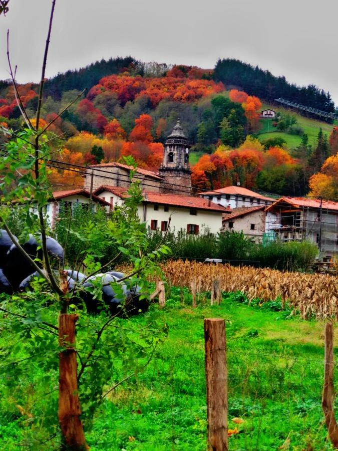 Albergue Olasenea Aterpea Zubieta Kültér fotó